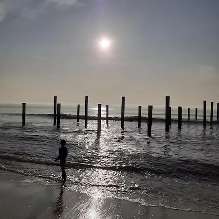 Het Zeepaardje Aan Zee *