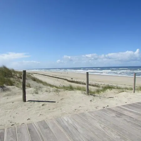 Het Zeepaardje Aan Zee *